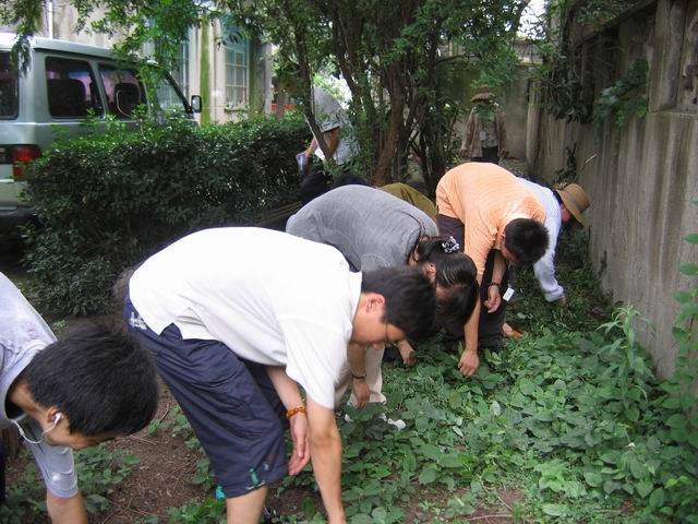 学生暑期志愿者服务活动总结_团委_群团组织