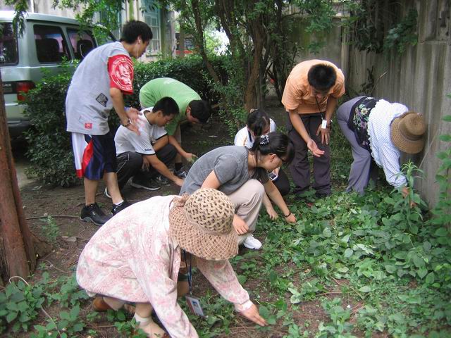 学生暑期志愿者服务活动总结_团委_群团组织