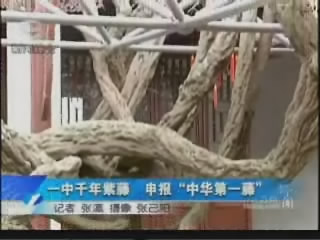 [视频]《苏州电视台新闻综合频道》报道:苏州一